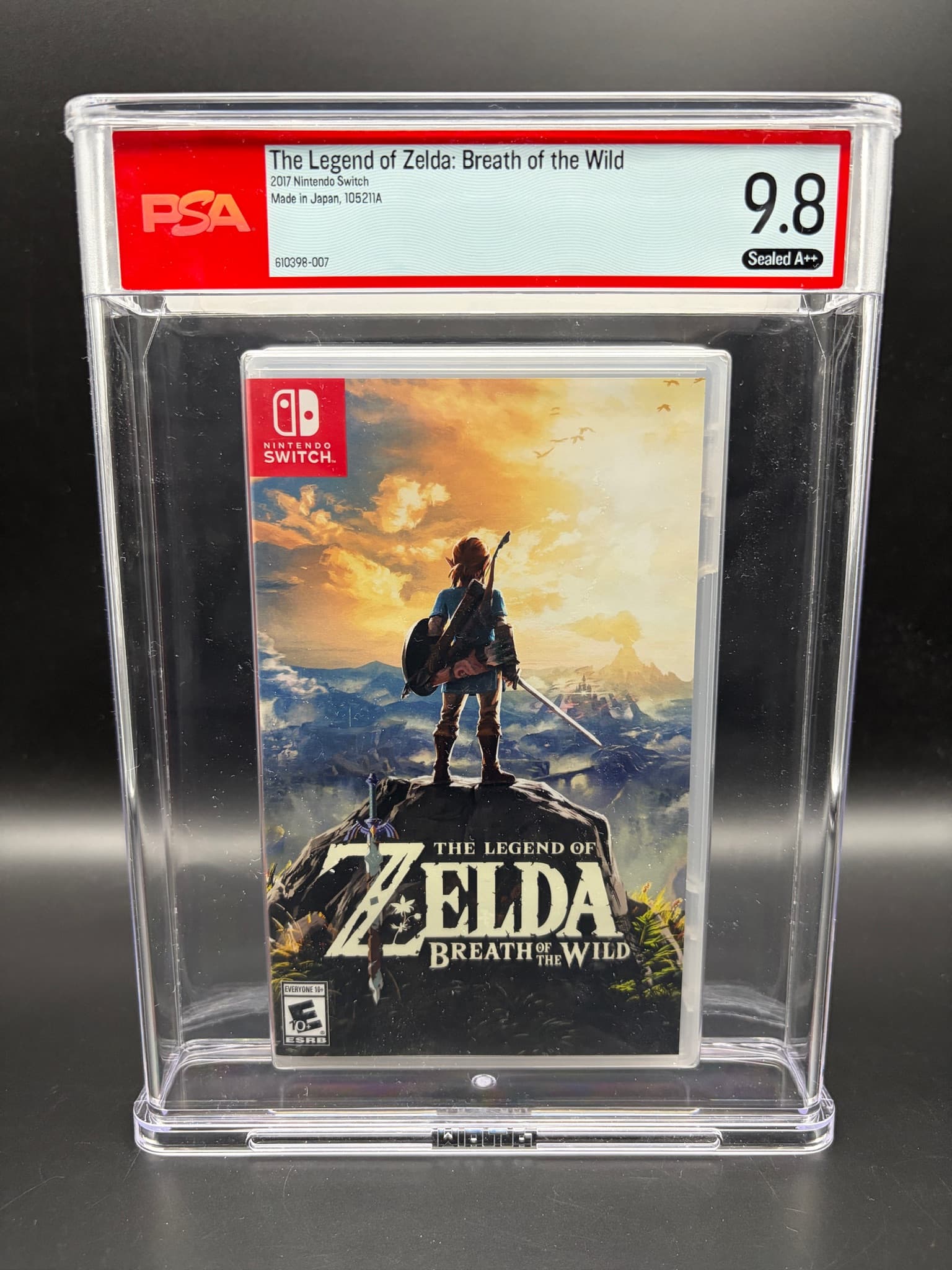 Zelda: Breath of the Wild